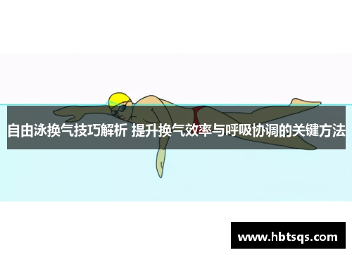 自由泳换气技巧解析 提升换气效率与呼吸协调的关键方法